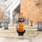 Glitzhome; Glitzhome® 36"H Halloween Metal Black Cat with Spring Head and Stacked Pumpkin Yard Stake; Category:Halloween Yardstakes; Image:4